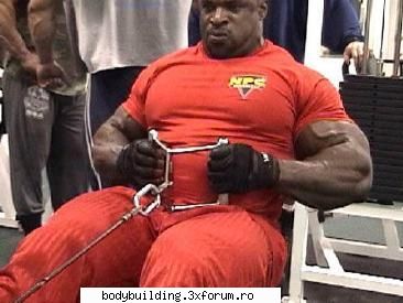 ronnie coleman back training