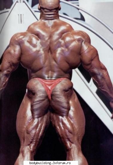 back ronnie coleman