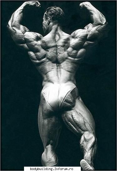 Kevin Levrone - Gilu - culturisti celebri