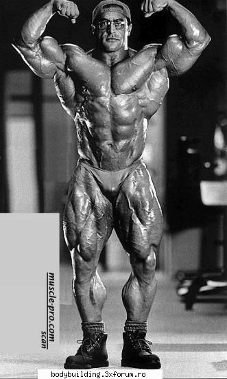 Nasser el Sonbaty - superadministrator - culturisti celebri